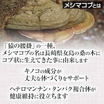 Amazon.co.jp: メシマコブ 粉末 50g 約20日分 健康市場 原料